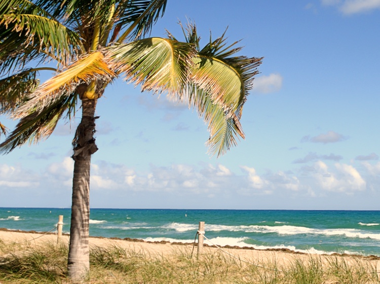 Ft Lauderdale Beach