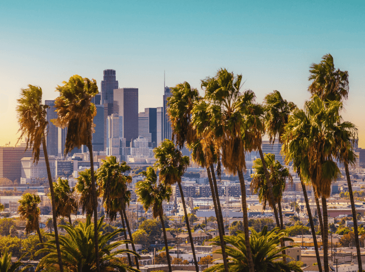 A view of downtown Los Angeles California with palm trees in the foreground